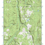 (45084a1) Page 063 Petoskey Preview 1