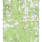 (45084a1) Page 088 Petoskey Preview 1