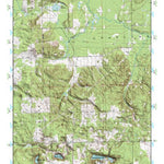 (45084a1) Page 092 Petoskey Preview 1