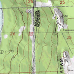 (45084e1) Page 041 Cheboygan Preview 2