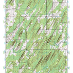 (45087e1) Page 078 Escanaba Preview 1