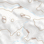 45102NE Page 31 Lemmon Topo Preview 3