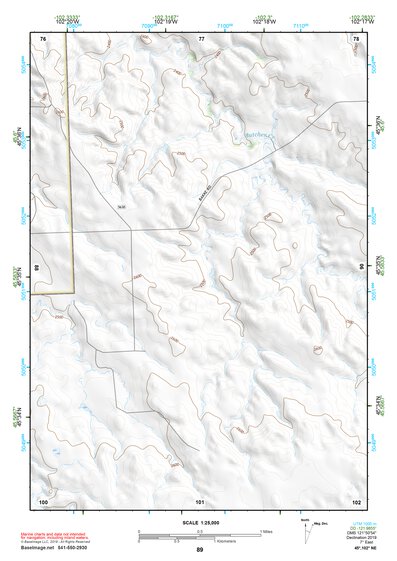45102NE Page 89 Lemmon Topo Preview 1