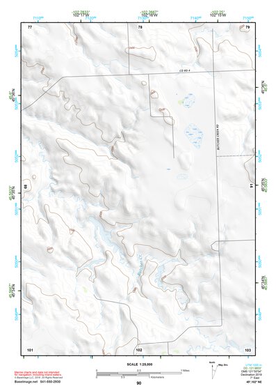 45102NE Page 90 Lemmon Topo Preview 1