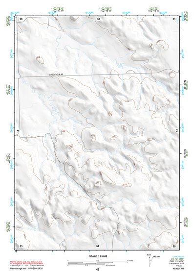45102NW Page 42 Lemmon Topo Preview 1