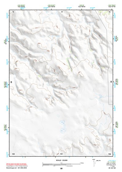 45102NW Page 89 Lemmon Topo Preview 1