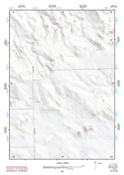 45102NW Page 91 Lemmon Topo Preview 1