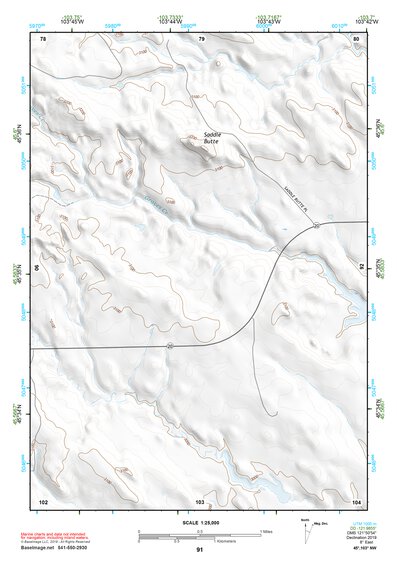 45103NW Page 91 Camp Crook Topo Preview 1