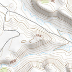 45106SW Page 98 Birney Topo Preview 3