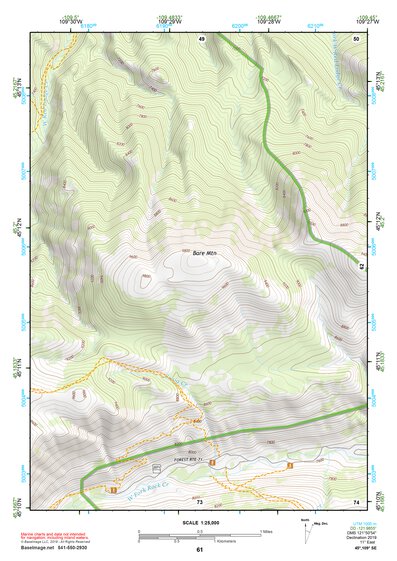 45109SE Page 61 Red Lodge Topo Preview 1
