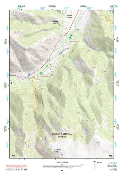 45109SE Page 89 Red Lodge Topo Preview 1