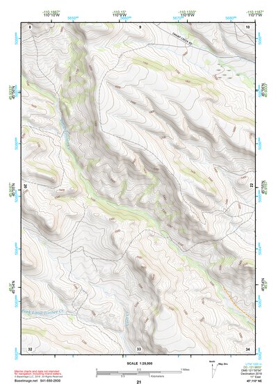 45110NE Page 21 Livingston Topo Preview 1
