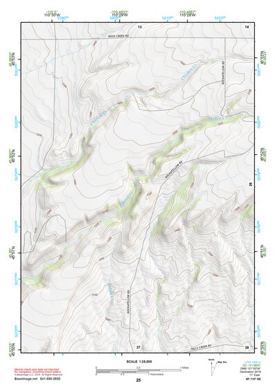 45110NE Page 25 Livingston Topo Preview 1