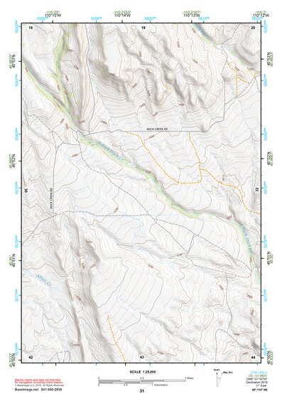 45110NE Page 31 Livingston Topo Preview 1