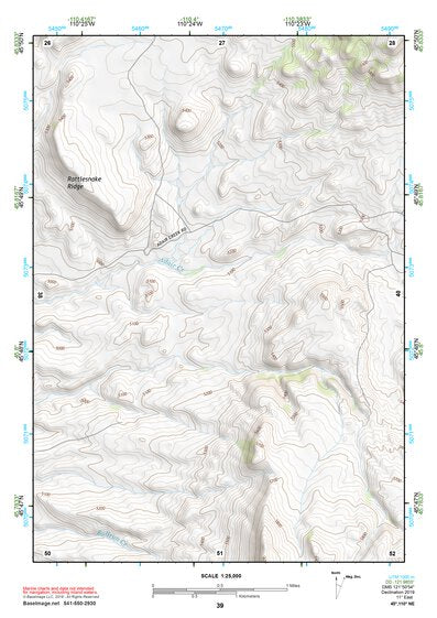 45110NE Page 39 Livingston Topo Preview 1