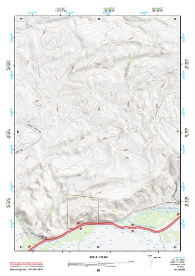 45110NE Page 50 Livingston Topo Preview 1