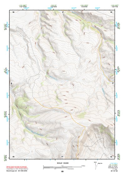 45110NE Page 69 Livingston Topo Preview 1
