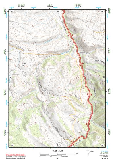 45110NE Page 75 Livingston Topo Preview 1