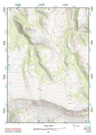 45110NE Page 77 Livingston Topo Preview 1