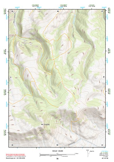 45110NE Page 78 Livingston Topo Preview 1