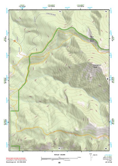 45110NE Page 85 Livingston Topo Preview 1