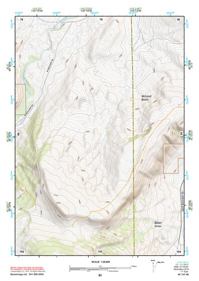 45110NE Page 91 Livingston Topo Preview 1