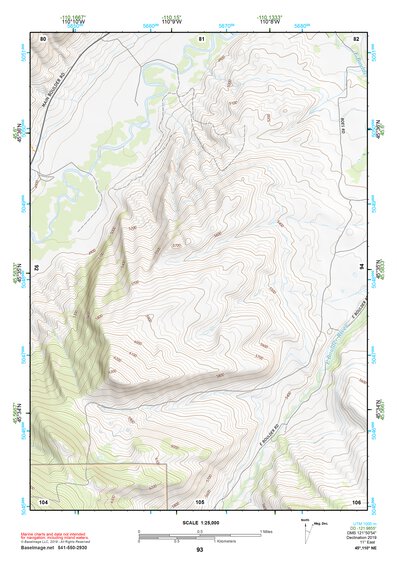 45110NE Page 93 Livingston Topo Preview 1