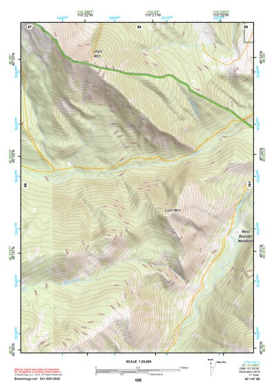 45110NE Page 100 Livingston Topo Preview 1