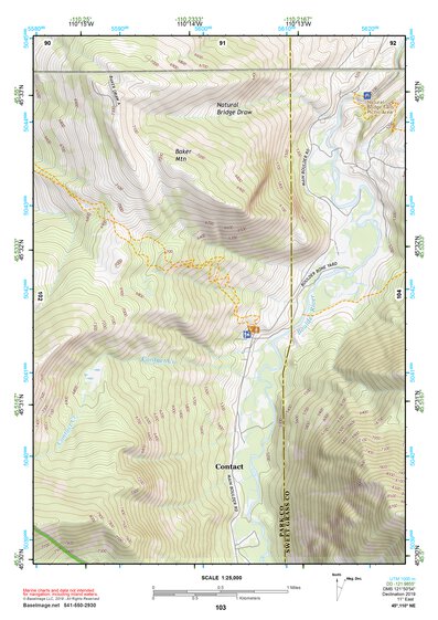 45110NE Page 103 Livingston Topo Preview 1