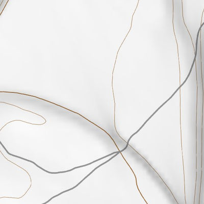 45111SW Page 43 Ennis Topo Preview 2