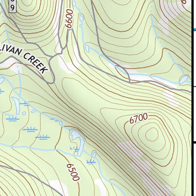 45113NE Page 9 Wisdom Topo Preview 3