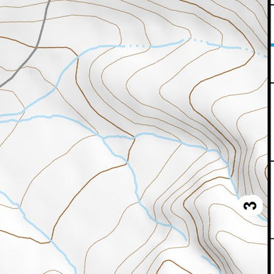 45113SE Page 2 Salmon Topo Preview 3