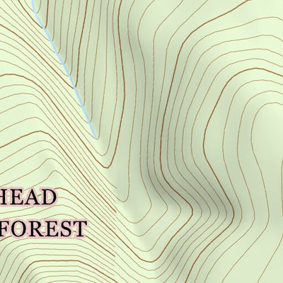 45113SE Page 4 Salmon Topo Preview 3