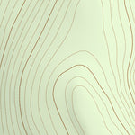 45113SE Page 20 Salmon Topo Preview 2