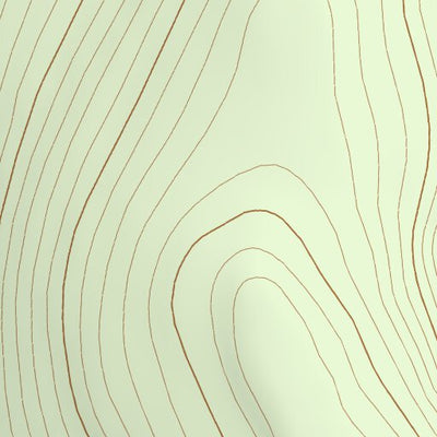 45113SE Page 20 Salmon Topo Preview 2