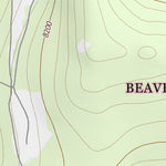 45113SE Page 31 Salmon Topo Preview 2