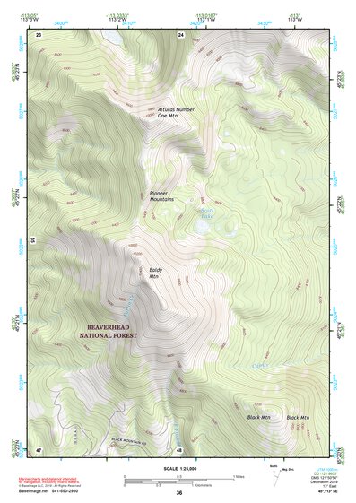 45113SE Page 36 Salmon Topo Preview 1