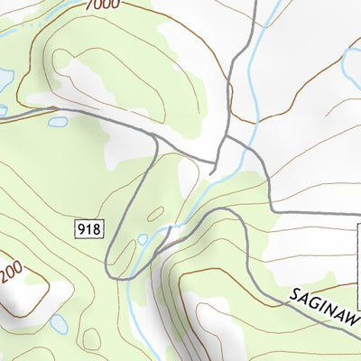 45113SE Page 50 Salmon Topo Preview 2
