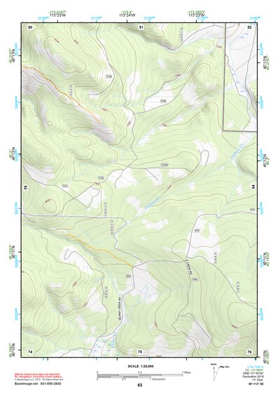 45113SE Page 63 Salmon Topo Preview 1