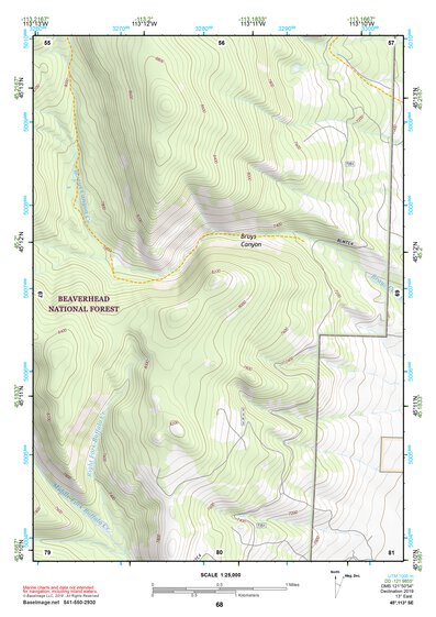 45113SE Page 68 Salmon Topo Preview 1
