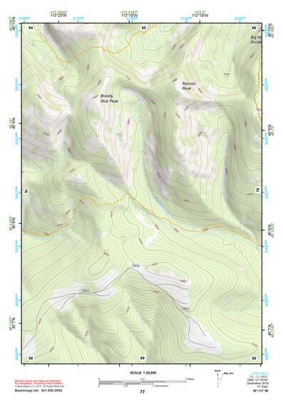 45113SE Page 77 Salmon Topo Preview 1