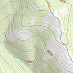 45113SE Page 78 Salmon Topo Preview 2
