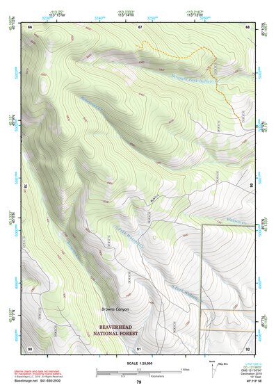 45113SE Page 79 Salmon Topo Preview 1