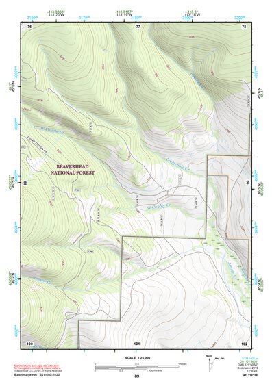 45113SE Page 89 Salmon Topo Preview 1