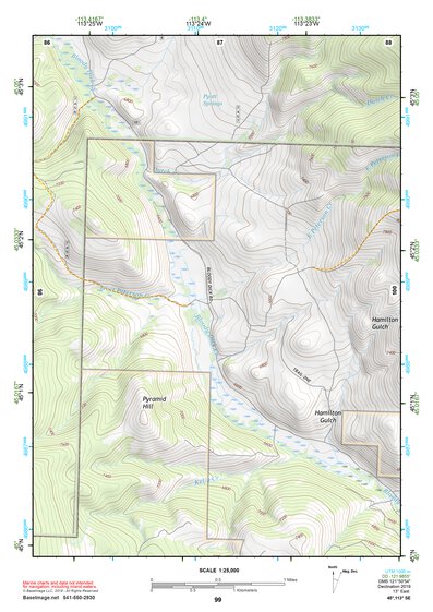 45113SE Page 99 Salmon Topo Preview 1