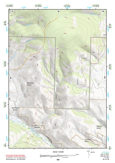 45113SE Page 100 Salmon Topo Preview 1