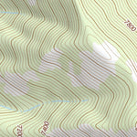 45113SW Page 5 Salmon Topo Preview 2