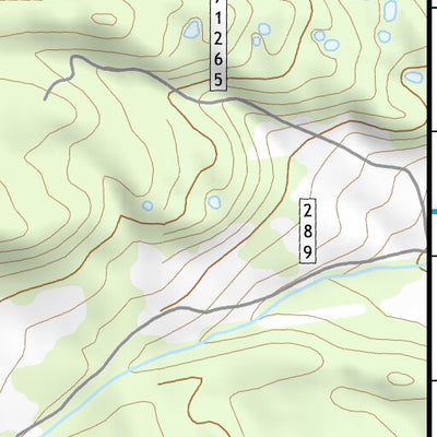 45113SW Page 9 Salmon Topo Preview 3