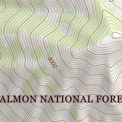 45113SW Page 17 Salmon Topo Preview 3