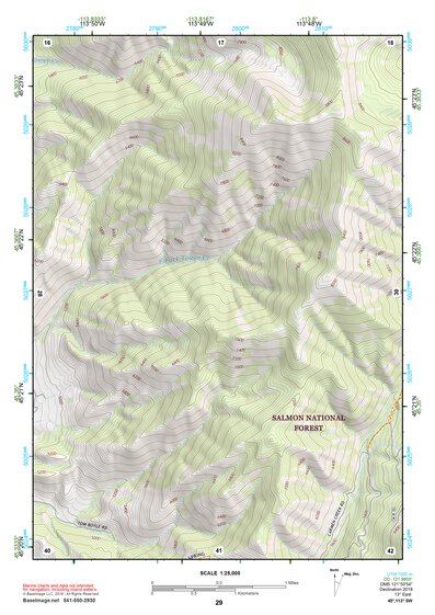 45113SW Page 29 Salmon Topo Preview 1